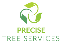 Precise Tree Services